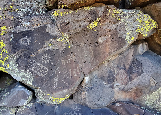 The waterbird petroglyph panel, along the Tom Moody Trail