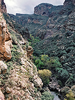 View up the canyon