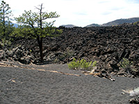 Edge of the Bonito Lava Flow