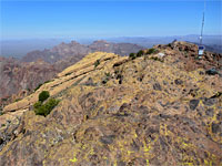 Mt Ajo Peak Trail