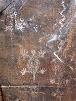 Lizard petroglyph