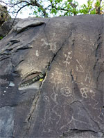 Assorted petroglyphs