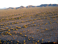 Arizona Deserts Itinerary