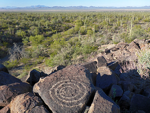 Petroglyph, Saguaro National Park