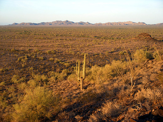 Vekol Valley, Sonoran Desert NM