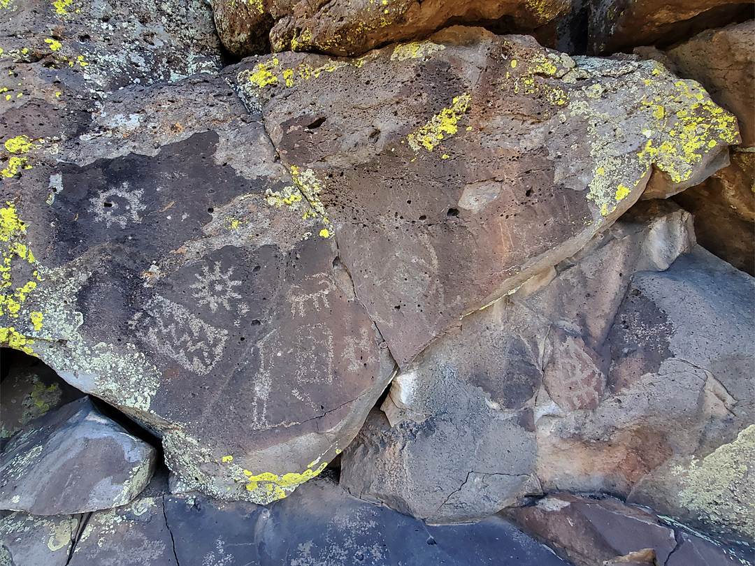 Waterbird petroglyph panel
