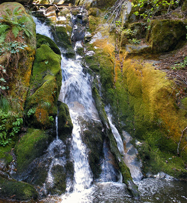 Cascade and mossy rocks along the Don Cecil Trail