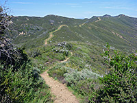 Ridge east of the summit