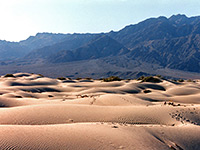 Mesquite Flat Dunes, Death Valley National Park