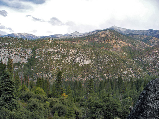 Hillside above Cedar Grove, at the edge of Kings Canyon