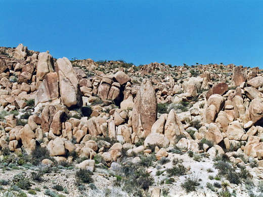 Smooth, rounded boulders along the Lost Palms Oasis Trail