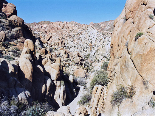 Shallow canyon near the oasis