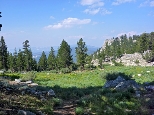 Grassland and boulders, Ten Lakes Pass