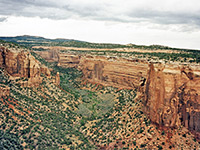 Upper end of Ute Canyon