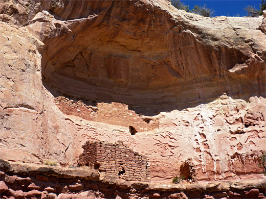 Double Cliff House, Canyons of the Ancients National Monument