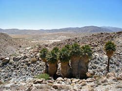 Anza-Borrego Desert State Park