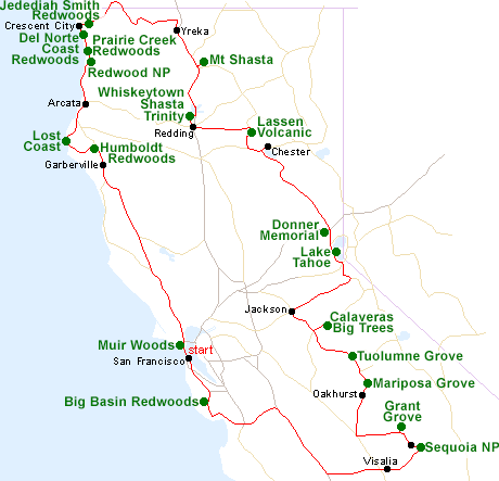 Map of the California Big Trees tour