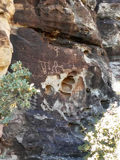 Rock art at Petroglyph Wall