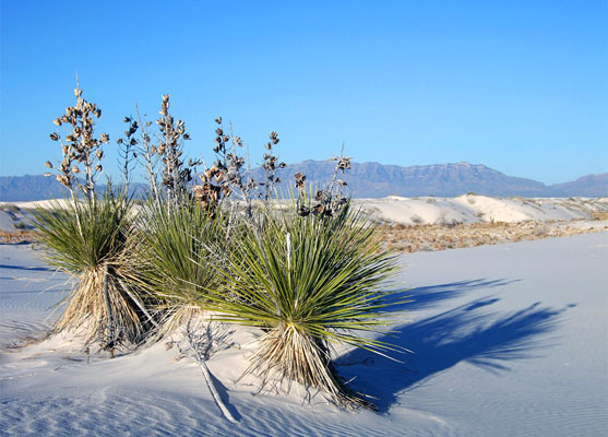 White Sands National Park, New Mexico