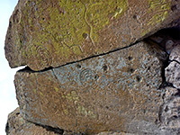 Lichen-covered petroglyphs