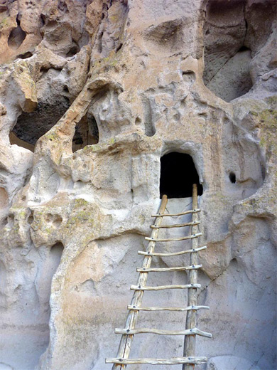 Ladder to a cave dwelling