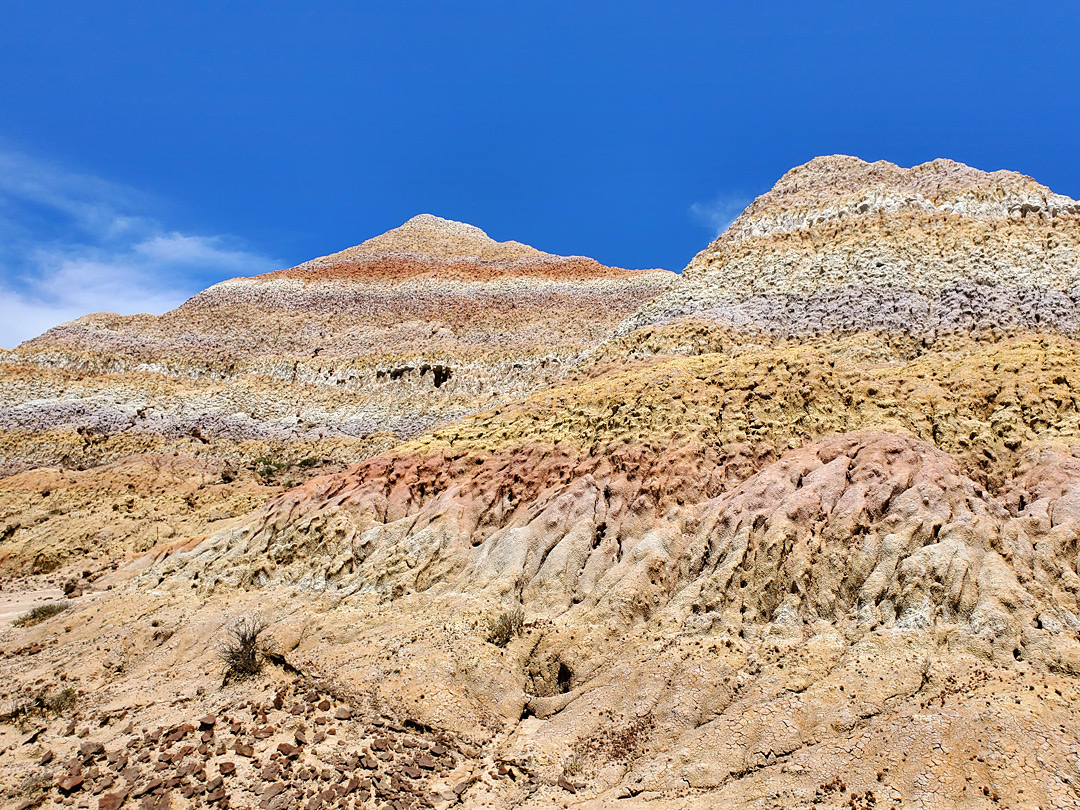 Multicolored mounds