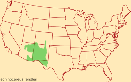 Distribution map for echinocereus fendleri
