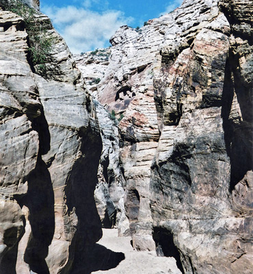Limestone narrows in Eardley Canyon