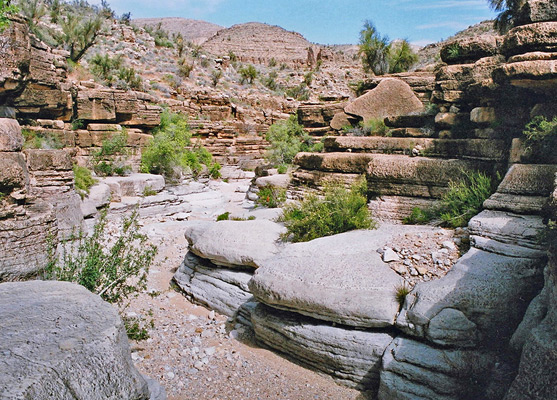 Limestone ledges in Hindu Canyon