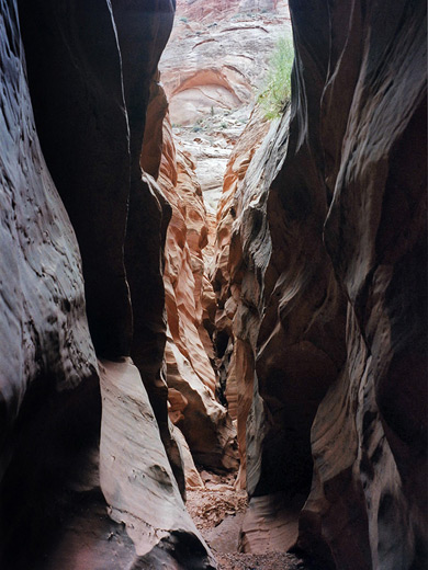 Slot Canyons Of The American Southwest Butterfly Canyon Lake Powell Arizona 7703