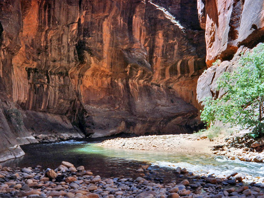 Wide bend in the Zion Narrows