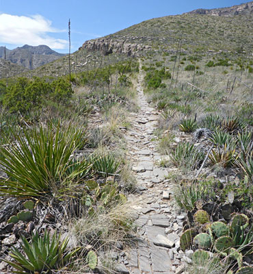 Permian Reef Trail, Guadalupe Mountains National Park, Texas
