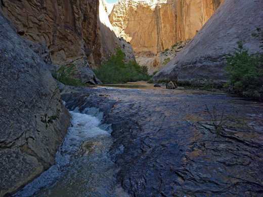 Death Hollow Canyon