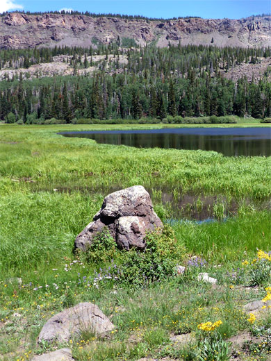 Rocks and wildflowers beside Deer Creek Lake