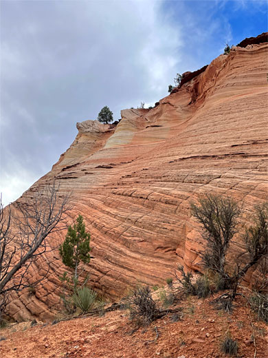 Layered cliff of the Kayenta Formation