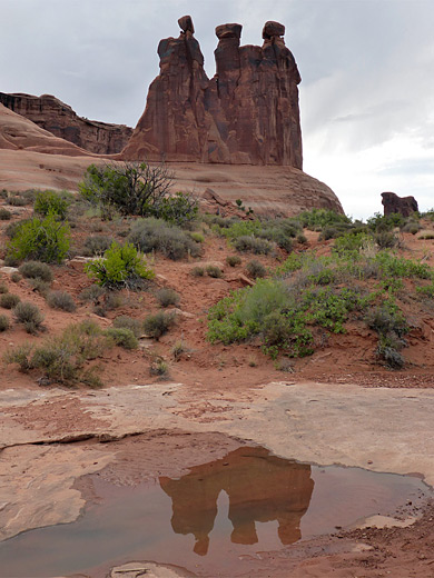 Reflections at the Three Gossips