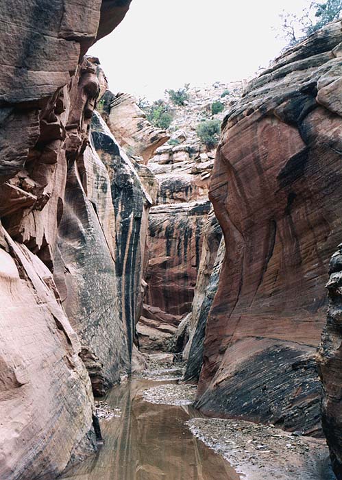 Photographs of Capitol Reef National Park