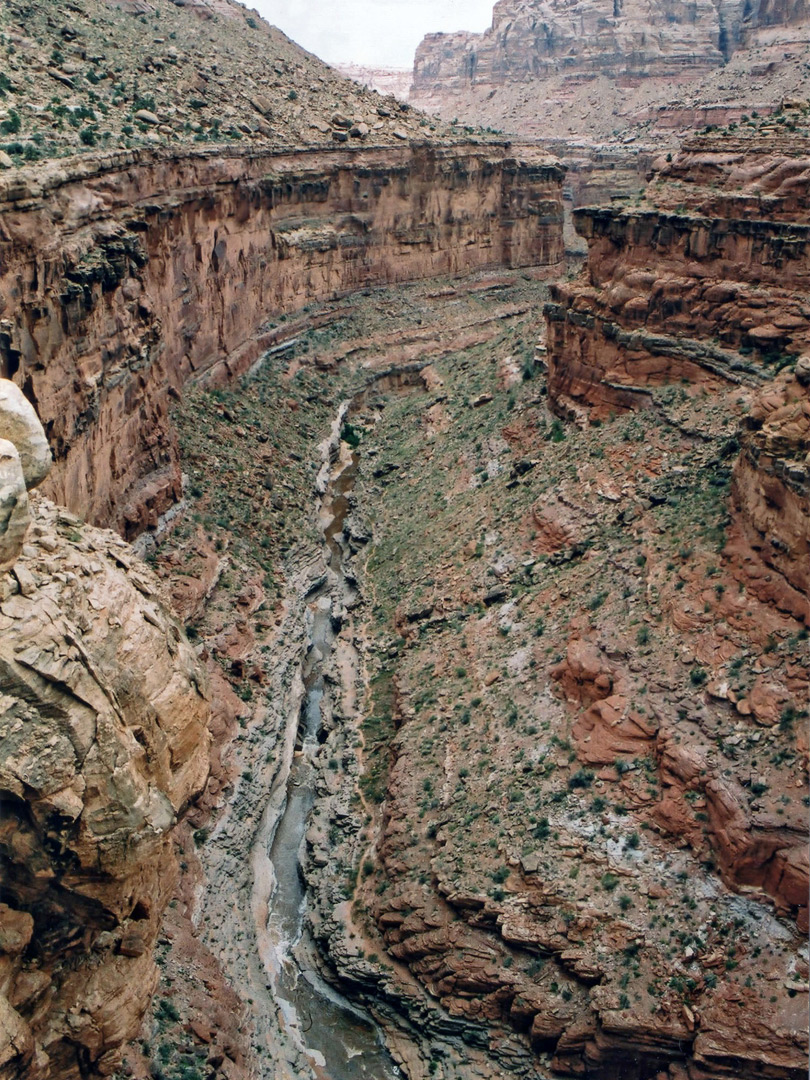 Deep ravine: Dark Canyon Utah