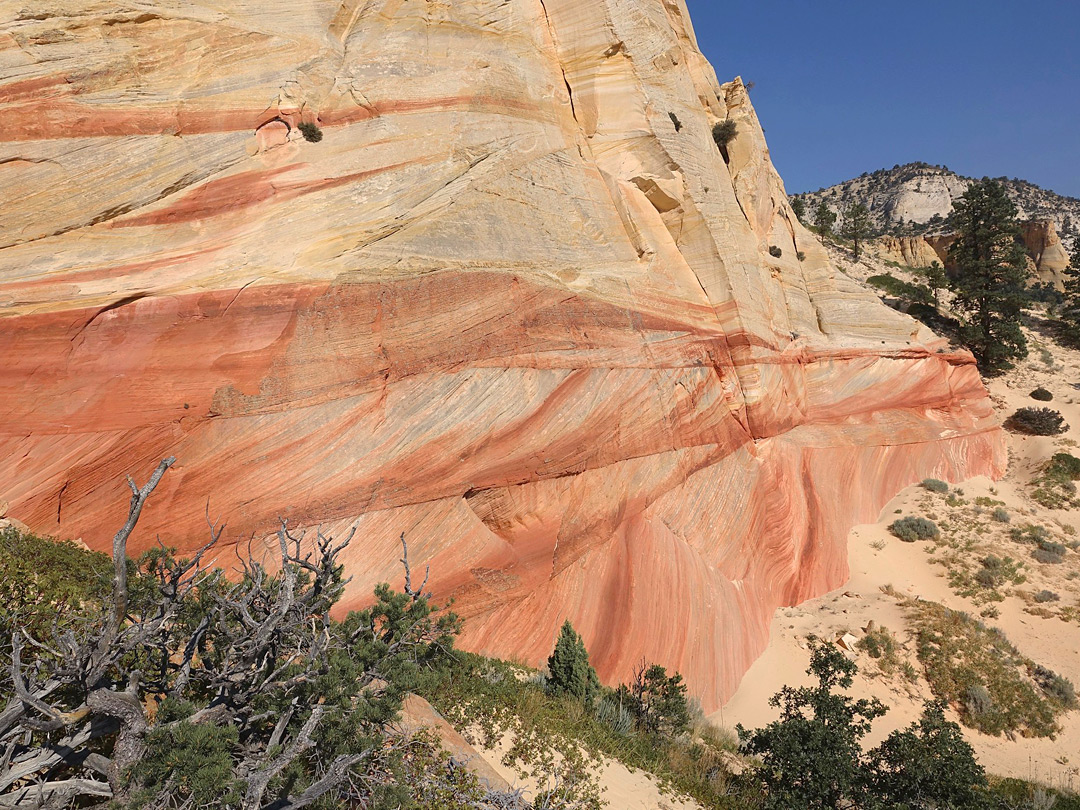 Reddish cliff
