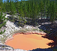 Tree-lined reddish pool