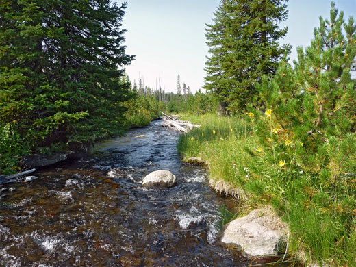 Small stream, a tributary of Boundary Creek