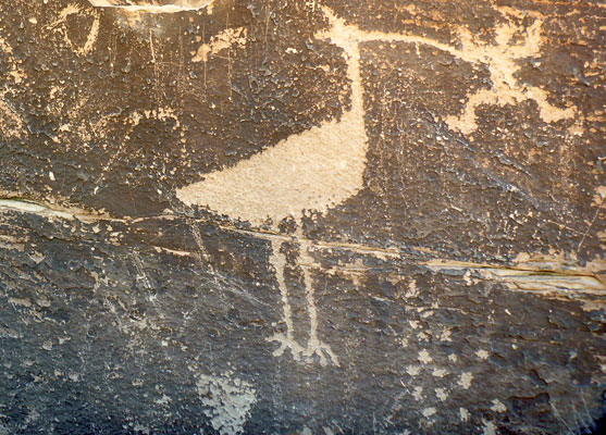 Bird and human petroglyph