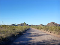 Shadows on Ajo Mountain Drive