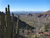 Ajo Mountain Drive