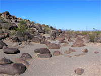 Painted Rock Petroglyph Site