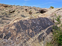 Petroglyphs on a boulder