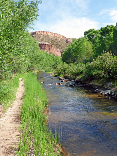 Path beside the stream