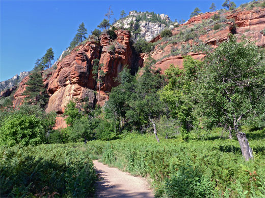 Meadow near the trailhead