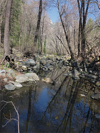 Pool along the creek