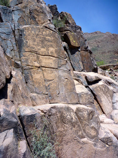 Many petroglyphs